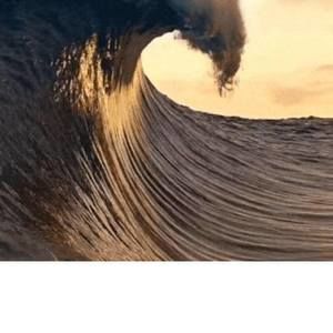 Meet your Posher, Annabelle